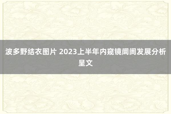 波多野结衣图片 2023上半年内窥镜阛阓发展分析呈文