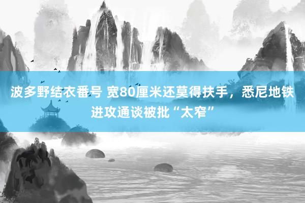 波多野结衣番号 宽80厘米还莫得扶手，悉尼地铁进攻通谈被批“太窄”