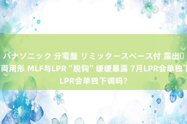 パナソニック 分電盤 リミッタースペース付 露出・半埋込両用形 MLF与LPR“脱钩”缓缓暴露 7月LPR会单独下调吗？