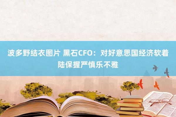 波多野结衣图片 黑石CFO：对好意思国经济软着陆保握严慎乐不雅