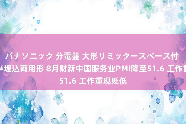 パナソニック 分電盤 大形リミッタースペース付 露出・半埋込両用形 8月财新中国服务业PMI降至51.6 工作重现贬低