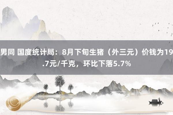 男同 国度统计局：8月下旬生猪（外三元）价钱为19.7元/千克，环比下落5.7%