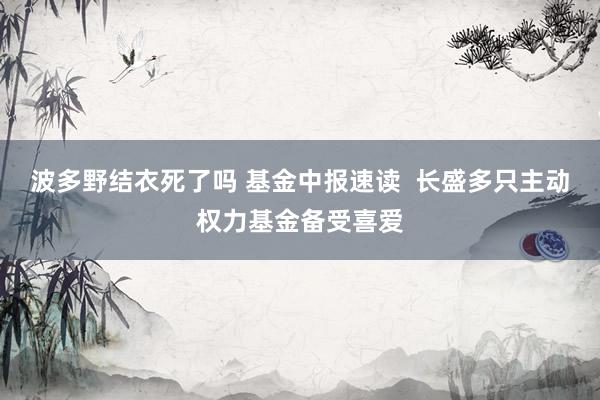 波多野结衣死了吗 基金中报速读  长盛多只主动权力基金备受喜爱