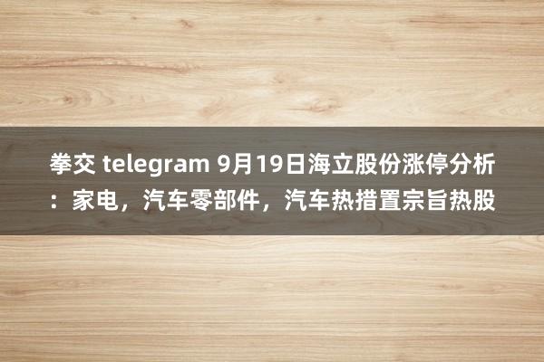 拳交 telegram 9月19日海立股份涨停分析：家电，汽车零部件，汽车热措置宗旨热股