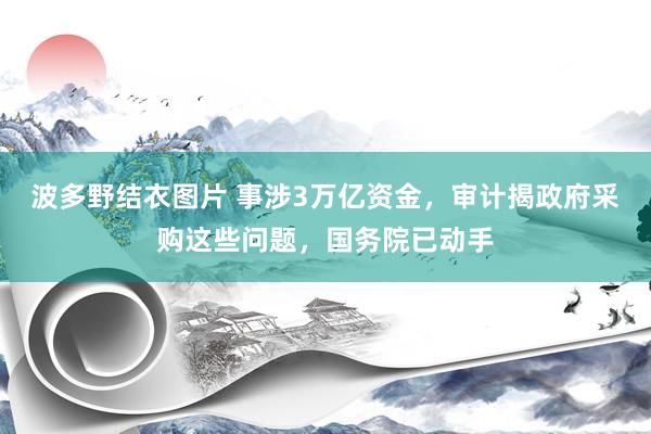 波多野结衣图片 事涉3万亿资金，审计揭政府采购这些问题，国务院已动手