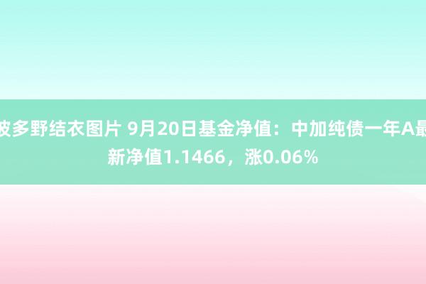 波多野结衣图片 9月20日基金净值：中加纯债一年A最新净值1.1466，涨0.06%