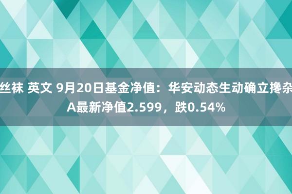 丝袜 英文 9月20日基金净值：华安动态生动确立搀杂A最新净值2.599，跌0.54%