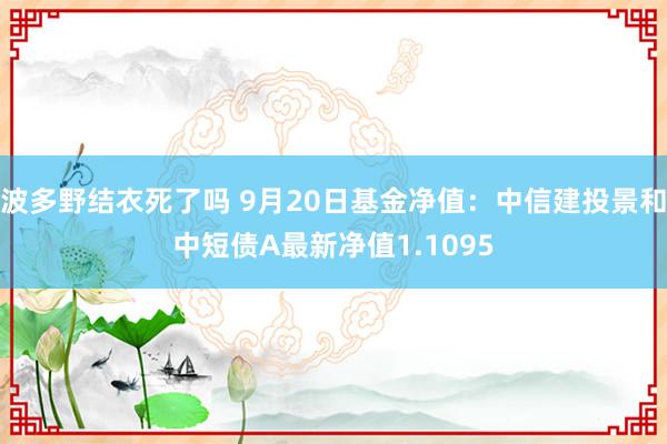 波多野结衣死了吗 9月20日基金净值：中信建投景和中短债A最新净值1.1095