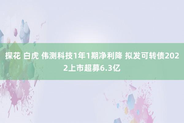 探花 白虎 伟测科技1年1期净利降 拟发可转债2022上市超募6.3亿