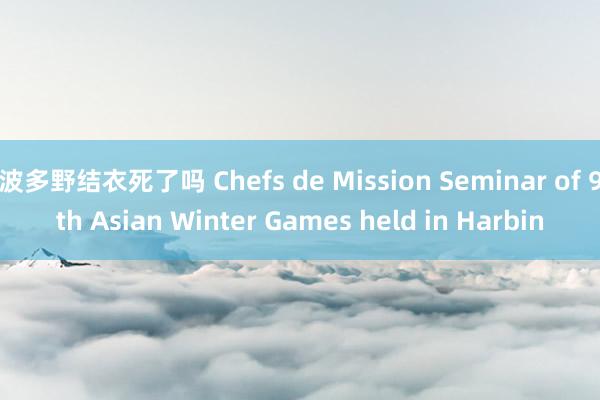 波多野结衣死了吗 Chefs de Mission Seminar of 9th Asian Winter Games held in Harbin