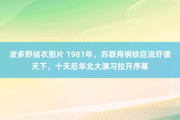 波多野结衣图片 1981年，苏联用钢铁巨流吓傻天下，十天后华北大演习拉开序幕