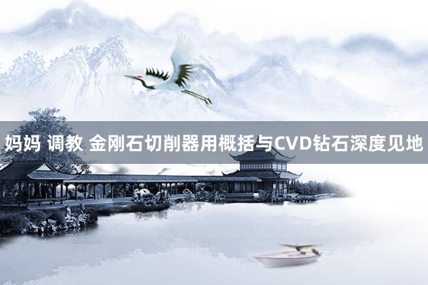 妈妈 调教 金刚石切削器用概括与CVD钻石深度见地