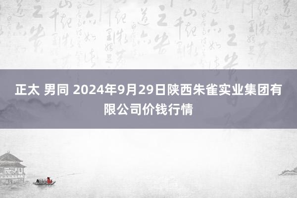 正太 男同 2024年9月29日陕西朱雀实业集团有限公司价钱行情