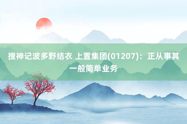 搜神记波多野结衣 上置集团(01207)：正从事其一般简单业务