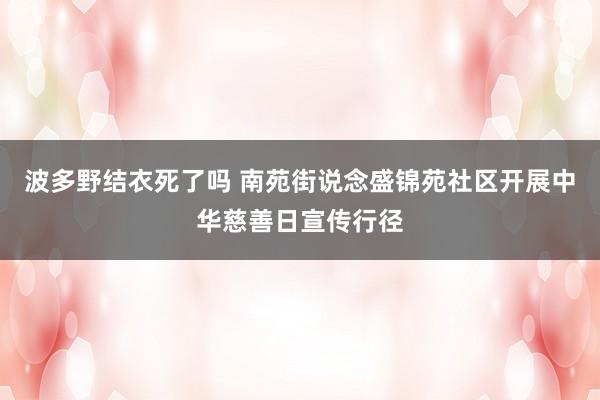 波多野结衣死了吗 南苑街说念盛锦苑社区开展中华慈善日宣传行径