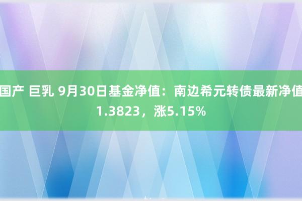 国产 巨乳 9月30日基金净值：南边希元转债最新净值1.3823，涨5.15%