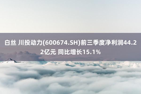 白丝 川投动力(600674.SH)前三季度净利润44.22亿元 同比增长15.1%