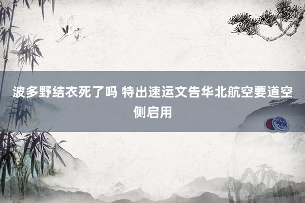 波多野结衣死了吗 特出速运文告华北航空要道空侧启用