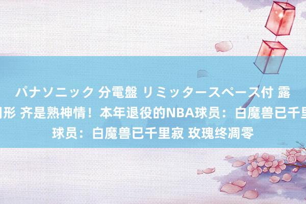 パナソニック 分電盤 リミッタースペース付 露出・半埋込両用形 齐是熟神情！本年退役的NBA球员：白魔兽已千里寂 玫瑰终凋零