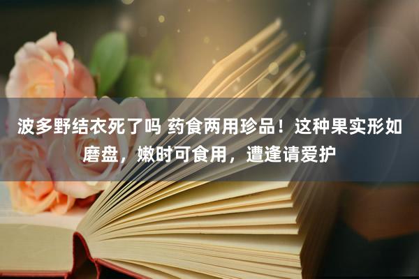 波多野结衣死了吗 药食两用珍品！这种果实形如磨盘，嫩时可食用，遭逢请爱护