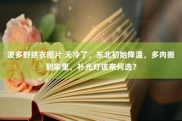 波多野结衣图片 天冷了，东北初始降温，多肉搬到家里，补光灯该奈何选？