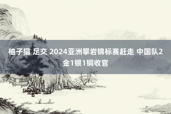 柚子猫 足交 2024亚洲攀岩锦标赛赶走 中国队2金1银1铜收官