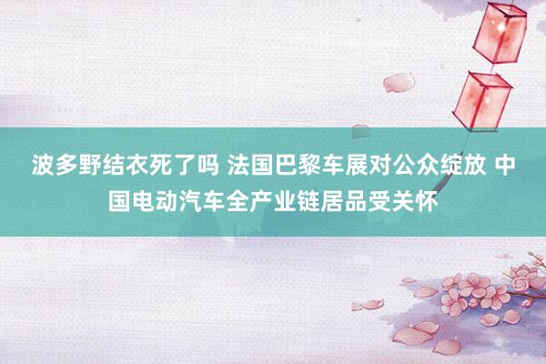 波多野结衣死了吗 法国巴黎车展对公众绽放 中国电动汽车全产业链居品受关怀