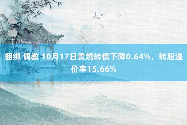 捆绑 调教 10月17日贵燃转债下降0.64%，转股溢价率15.66%