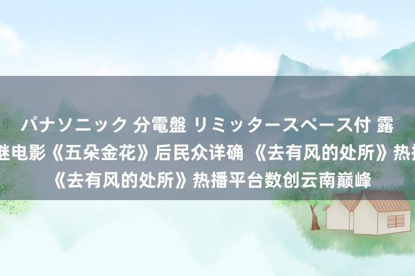 パナソニック 分電盤 リミッタースペース付 露出・半埋込両用形 继电影《五朵金花》后民众详确 《去有风的处所》热播平台数创云南巅峰