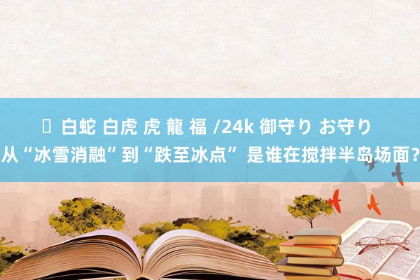 ✨白蛇 白虎 虎 龍 福 /24k 御守り お守り 从“冰雪消融”到“跌至冰点” 是谁在搅拌半岛场面？