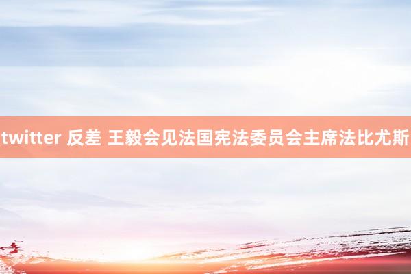 twitter 反差 王毅会见法国宪法委员会主席法比尤斯