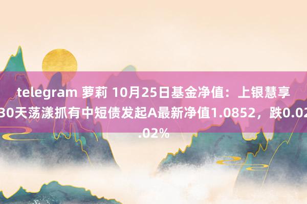 telegram 萝莉 10月25日基金净值：上银慧享利30天荡漾抓有中短债发起A最新净值1.0852，跌0.02%