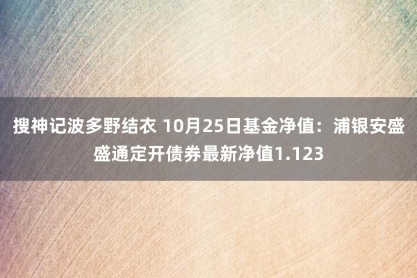 搜神记波多野结衣 10月25日基金净值：浦银安盛盛通定开债券最新净值1.123