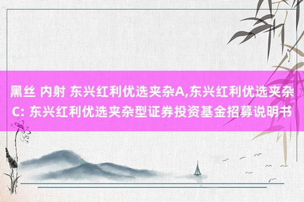 黑丝 内射 东兴红利优选夹杂A，东兴红利优选夹杂C: 东兴红利优选夹杂型证券投资基金招募说明书