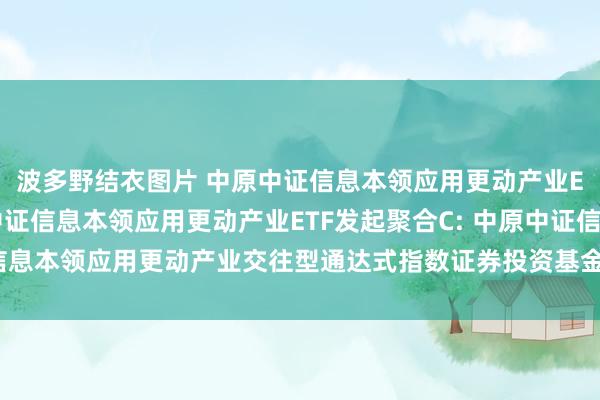 波多野结衣图片 中原中证信息本领应用更动产业ETF发起聚合A，中原中证信息本领应用更动产业ETF发起聚合C: 中原中证信息本领应用更动产业交往型通达式指数证券投资基金发起式聚合基金基金合同