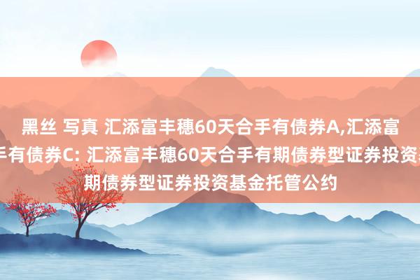 黑丝 写真 汇添富丰穗60天合手有债券A，汇添富丰穗60天合手有债券C: 汇添富丰穗60天合手有期债券型证券投资基金托管公约