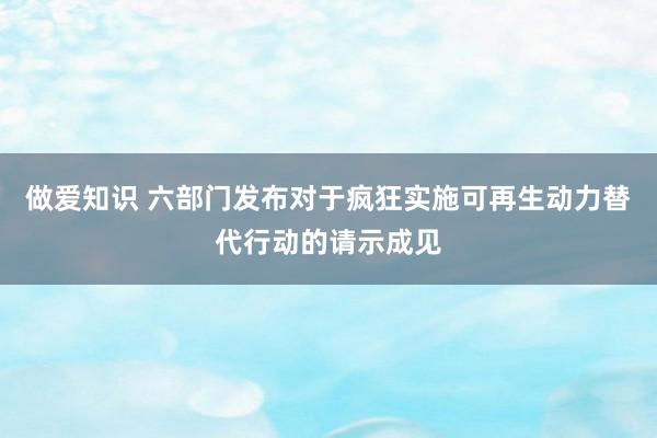 做爱知识 六部门发布对于疯狂实施可再生动力替代行动的请示成见