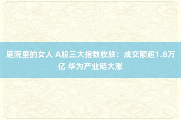 庭院里的女人 A股三大指数收跌：成交额超1.8万亿 华为产业链大涨