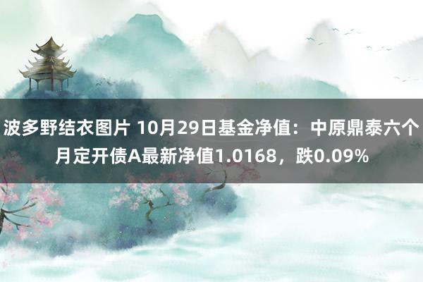 波多野结衣图片 10月29日基金净值：中原鼎泰六个月定开债A最新净值1.0168，跌0.09%