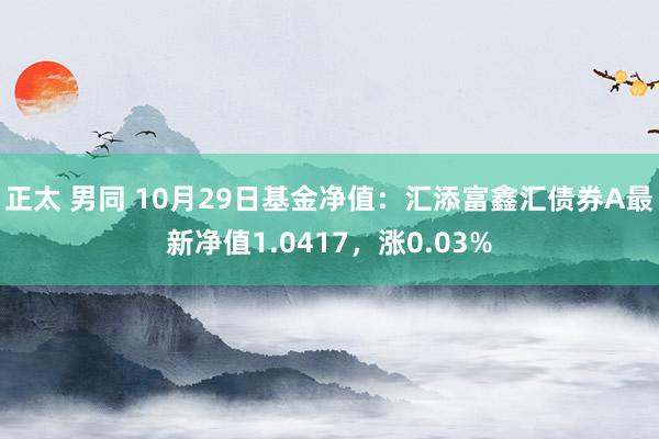 正太 男同 10月29日基金净值：汇添富鑫汇债券A最新净值1.0417，涨0.03%