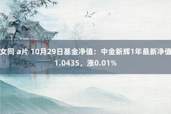 女同 a片 10月29日基金净值：中金新辉1年最新净值1.0435，涨0.01%