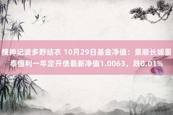 搜神记波多野结衣 10月29日基金净值：景顺长城景泰恒利一年定开债最新净值1.0063，跌0.01%