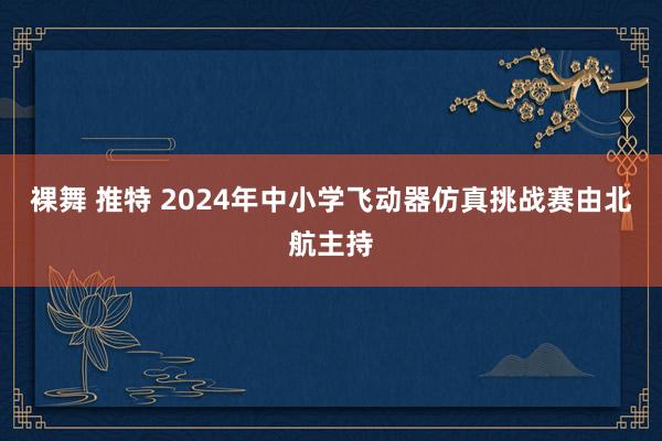 裸舞 推特 2024年中小学飞动器仿真挑战赛由北航主持