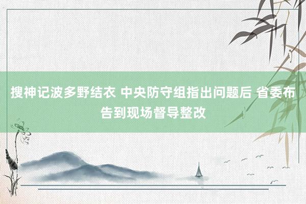 搜神记波多野结衣 中央防守组指出问题后 省委布告到现场督导整改