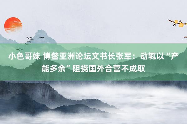 小色哥妹 博鳌亚洲论坛文书长张军：动辄以“产能多余”阻挠国外合营不成取