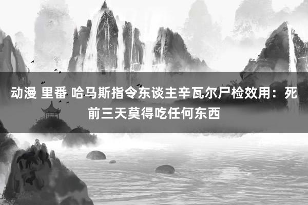 动漫 里番 哈马斯指令东谈主辛瓦尔尸检效用：死前三天莫得吃任何东西