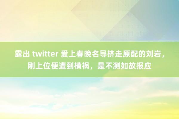 露出 twitter 爱上春晚名导挤走原配的刘岩，刚上位便遭到横祸，是不测如故报应