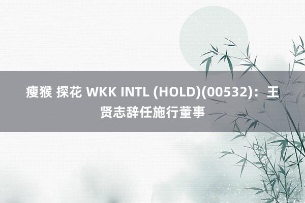 瘦猴 探花 WKK INTL (HOLD)(00532)：王贤志辞任施行董事