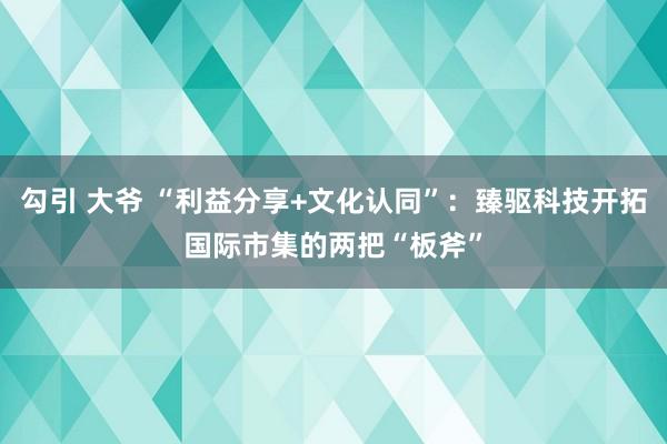 勾引 大爷 “利益分享+文化认同”：臻驱科技开拓国际市集的两把“板斧”