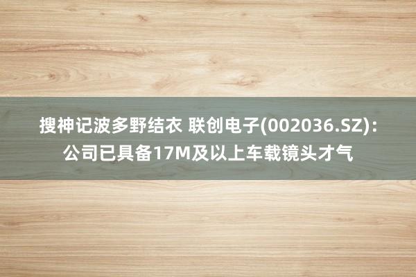 搜神记波多野结衣 联创电子(002036.SZ)：公司已具备17M及以上车载镜头才气